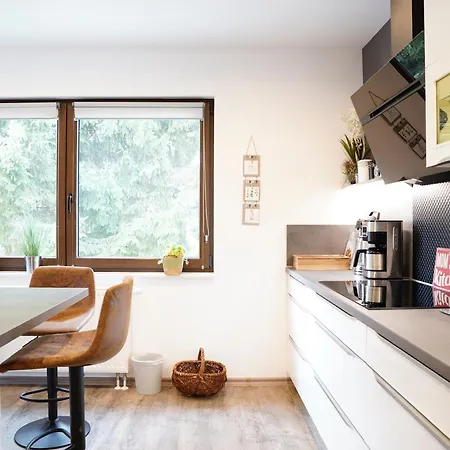 Holiday home Grosses Wellnesshaus Morgengau Sauna, Wirlpool, Infrarot & Garten Im Thueringer Wald Rotterode