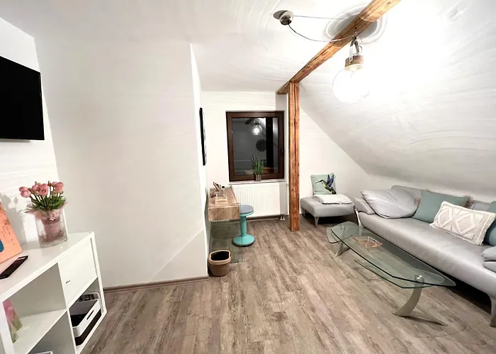 Haus Morgengau Familienzeit Und Wellness 別荘 Rotterode